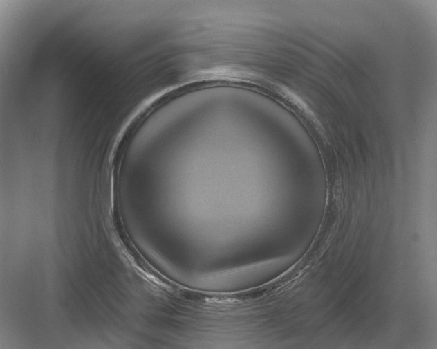 X0000082761323200702162015