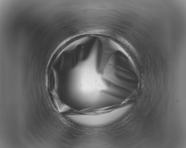 X0000082761324200702162015