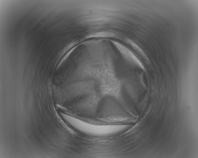 X0000082761329200702162015