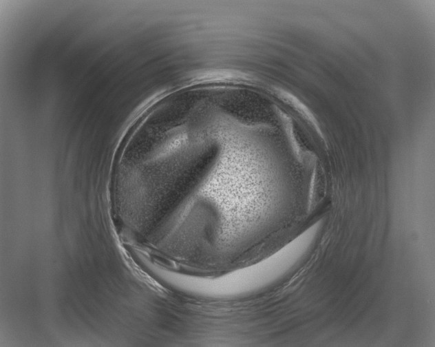 X0000082761330200702162015