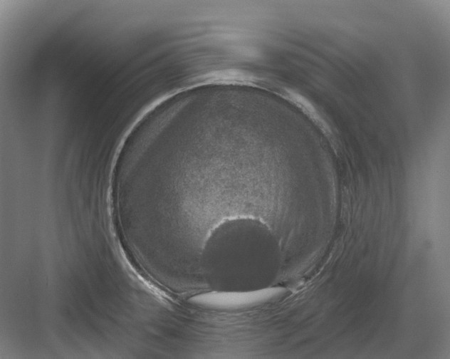 X0000082761331200702162015