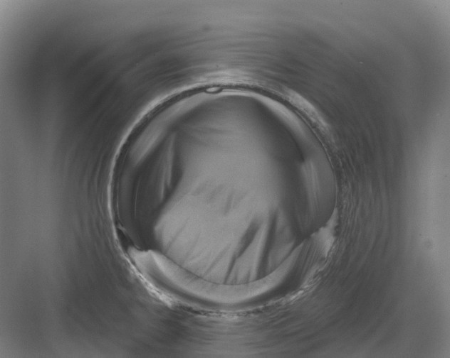 X0000082761334200702162015