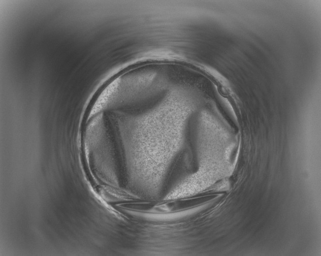 X0000082761335200702162015