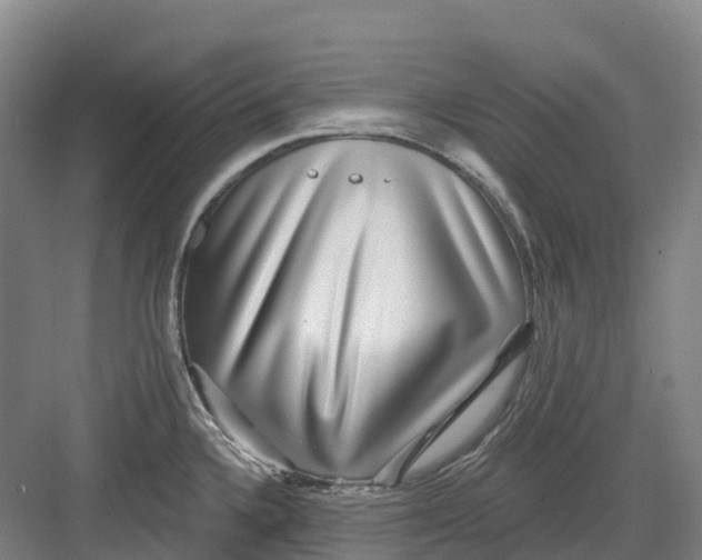 X0000082761336200702162015