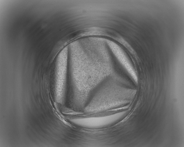 X0000082761337200702162015