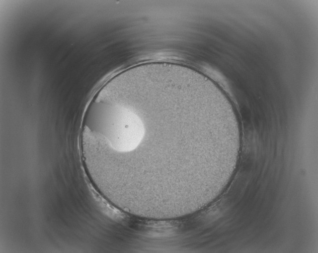 X0000082761338200702162015