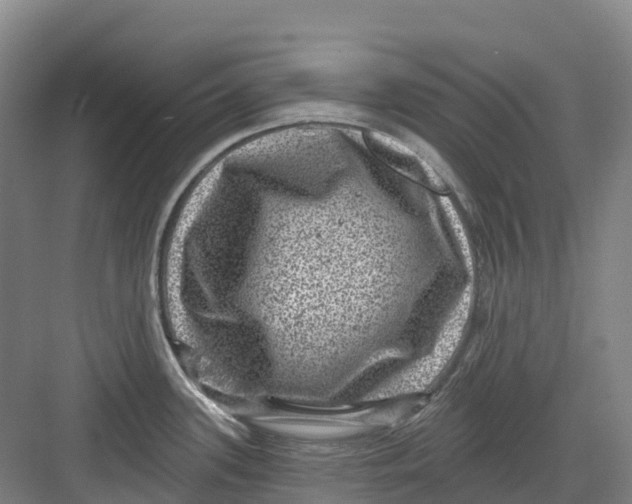 X0000082761339200702162015