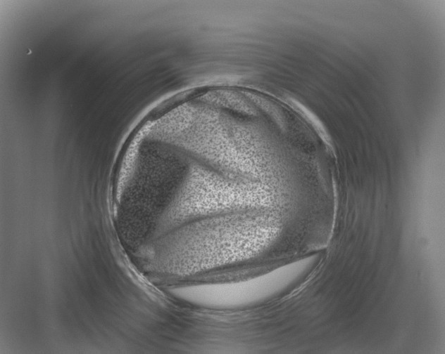 X0000082761340200702162015