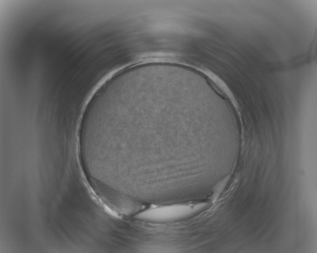 X0000082761341200702162015