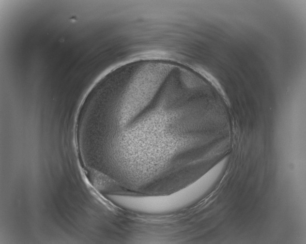 X0000082761342200702162015