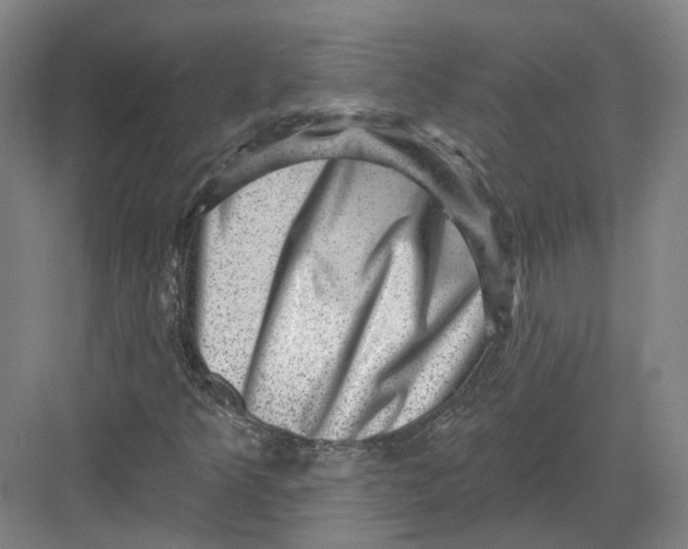 X0000082761349200702162015