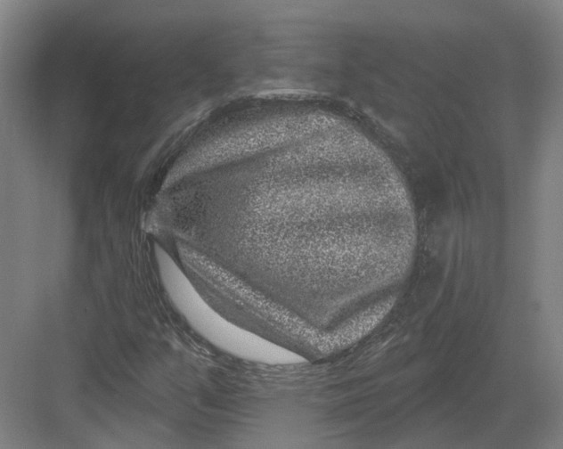 X0000082761351200702162015