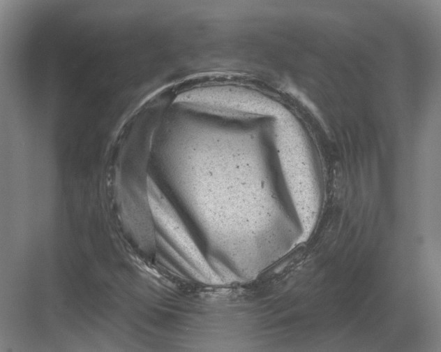 X0000082761352200702162015