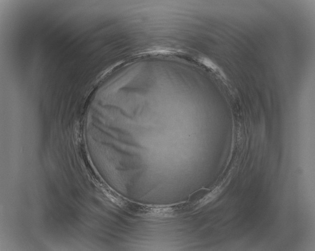 X0000082761353200702162014