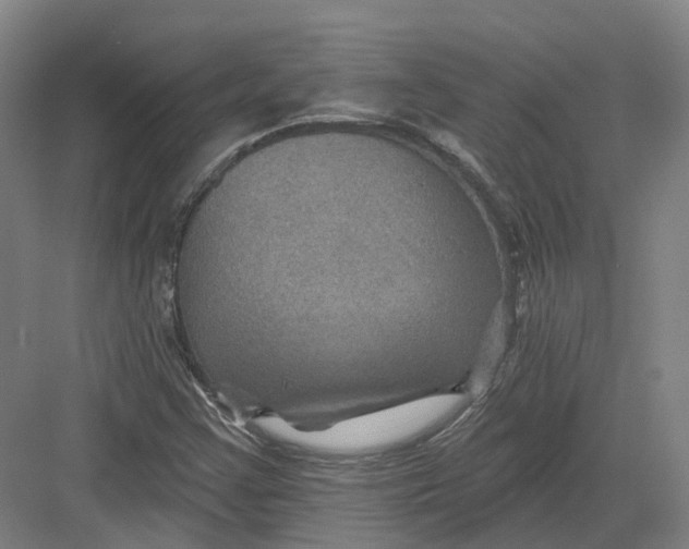 X0000082761355200702162014