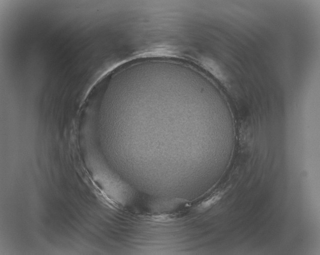 X0000082761356200702162014