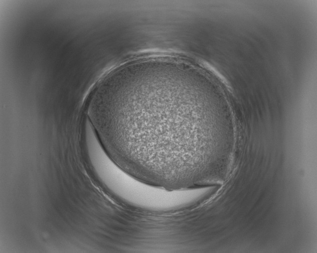 X0000082761357200702162014