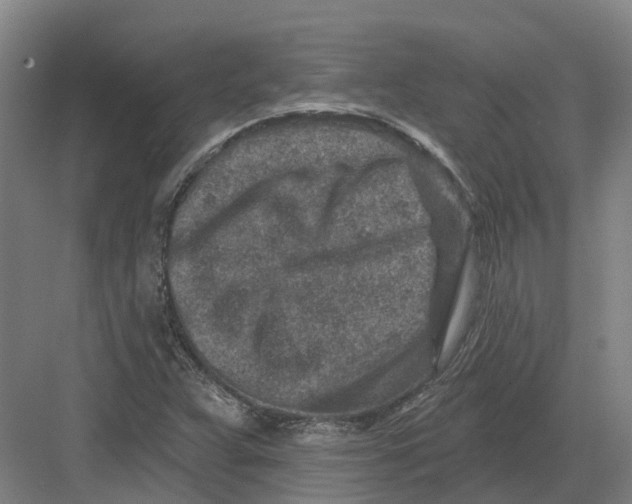 X0000082761359200702162014