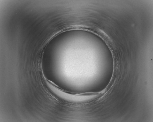 X0000082761361200702162014