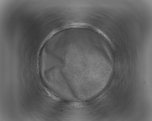 X0000082761362200702162014