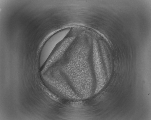 X0000082761363200702162014