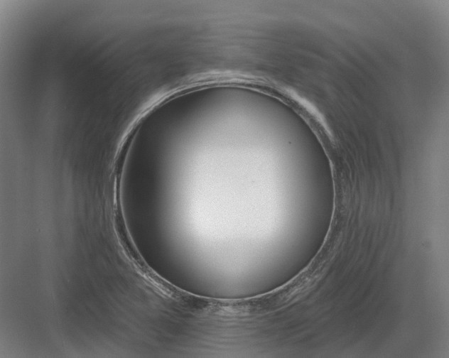 X0000082761365200702162014