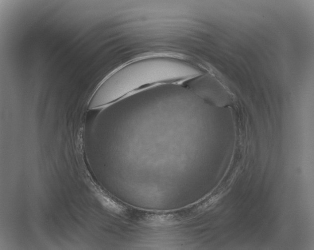 X0000082761369200702162014