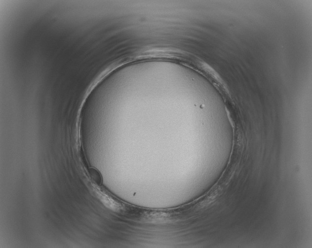 X0000082761370200702162014