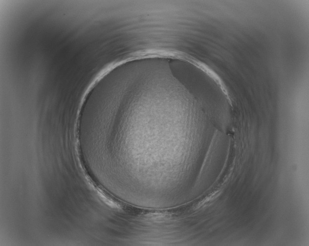 X0000082761373200702162014