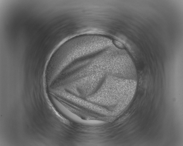 X0000082761375200702162014