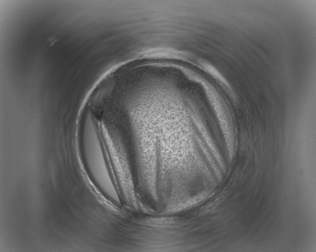 X0000082761376200702162014