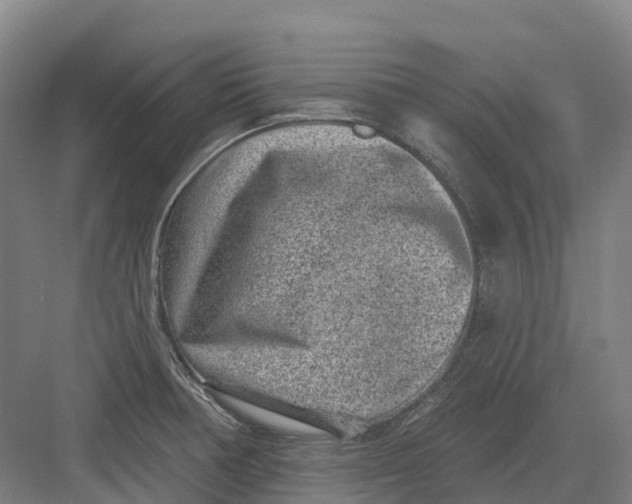 X0000082761378200702162014