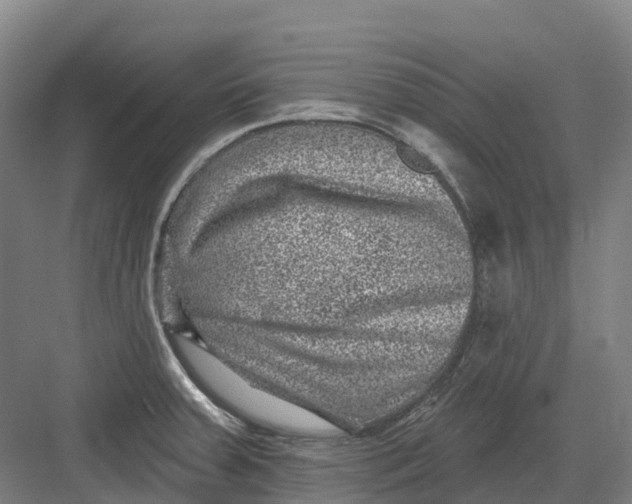 X0000082761379200702162014