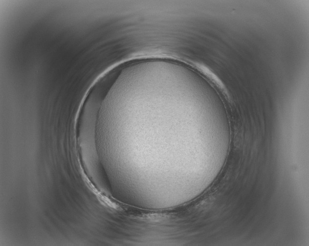 X0000082761380200702162014