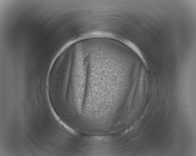 X0000082761381200702162014