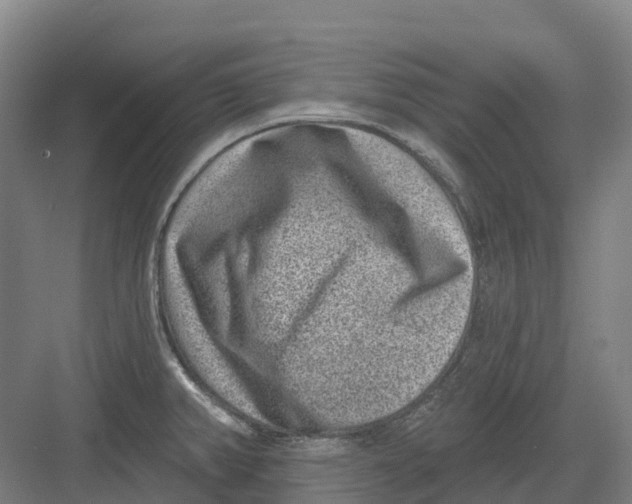 X0000082761382200702162014