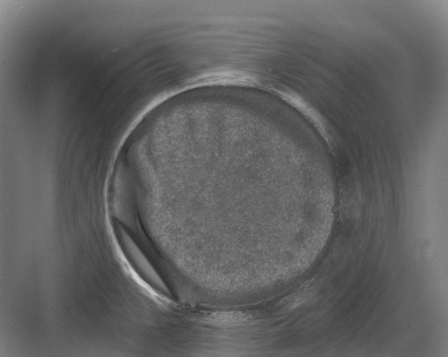 X0000082761383200702162014