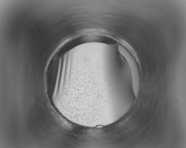 X0000082761384200702162014