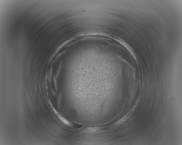 X0000082761385200702162014