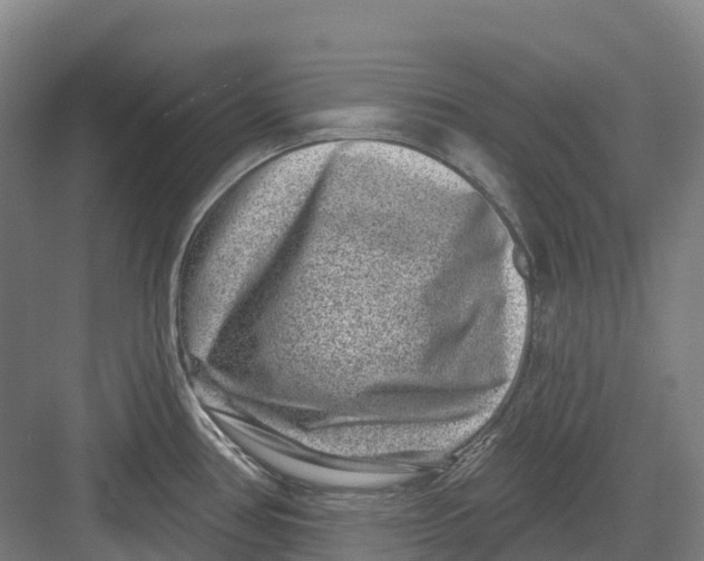 X0000082761386200702162014