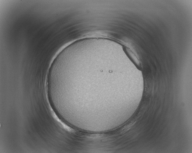 X0000082761387200702162014