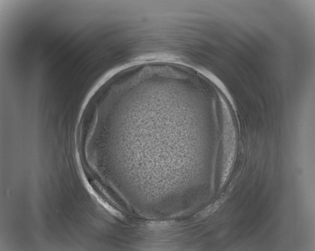 X0000082761389200702162014