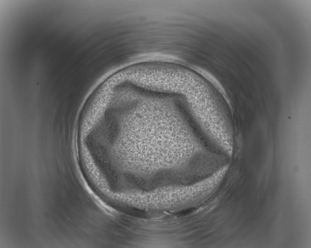 X0000082761391200702162014