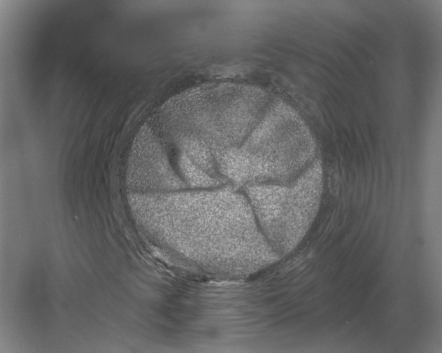 X0000082761393200702162013