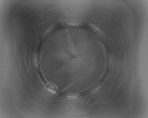 X0000082761394200702162013