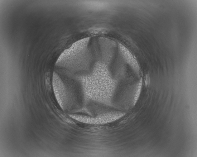 X0000082761396200702162013