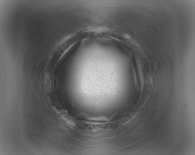 X0000082761398200702162013