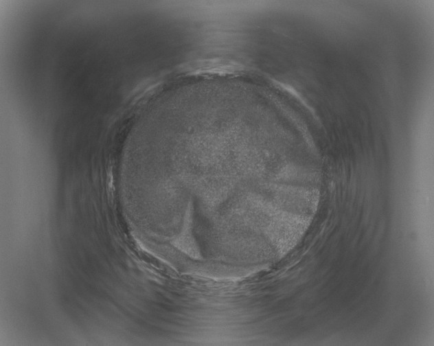 X0000082761399200702162013