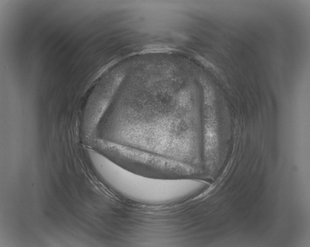 X0000082761401200702162013