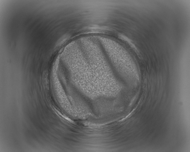 X0000082761403200702162013